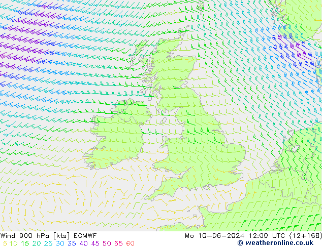 ветер 900 гПа ECMWF пн 10.06.2024 12 UTC