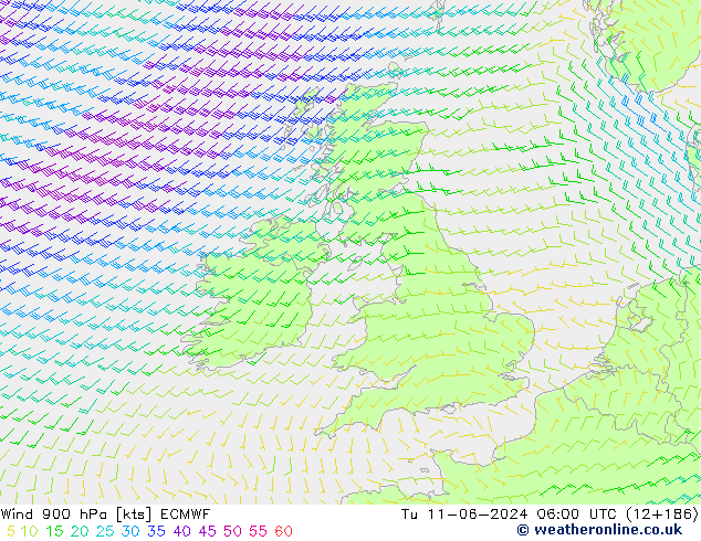 Wind 900 hPa ECMWF Tu 11.06.2024 06 UTC