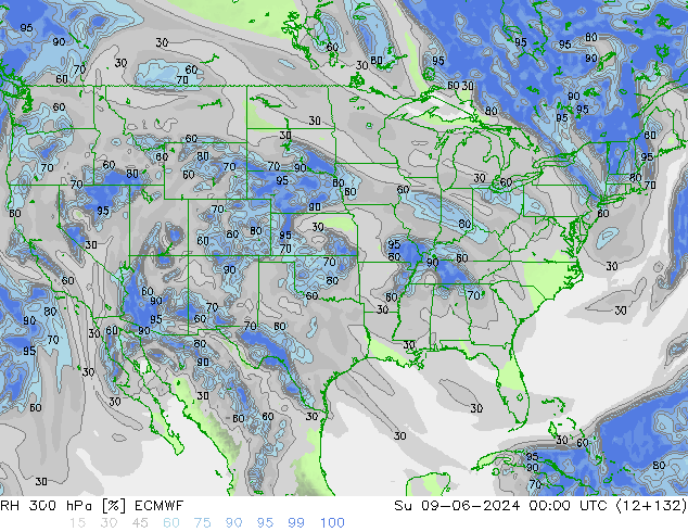 RV 300 hPa ECMWF zo 09.06.2024 00 UTC