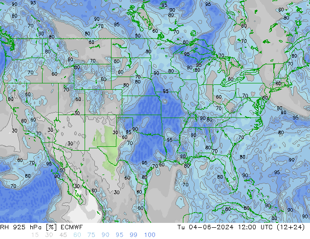 925 hPa Nispi Nem ECMWF Sa 04.06.2024 12 UTC