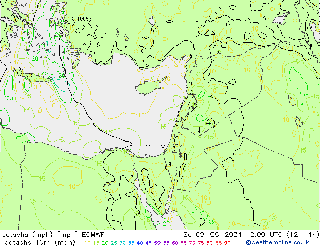 Isotachen (mph) ECMWF So 09.06.2024 12 UTC