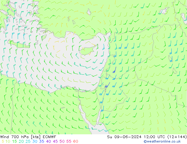 Wind 700 hPa ECMWF So 09.06.2024 12 UTC