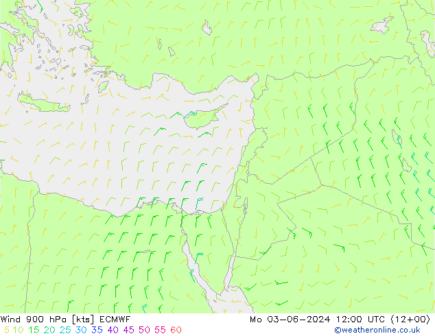 ветер 900 гПа ECMWF пн 03.06.2024 12 UTC