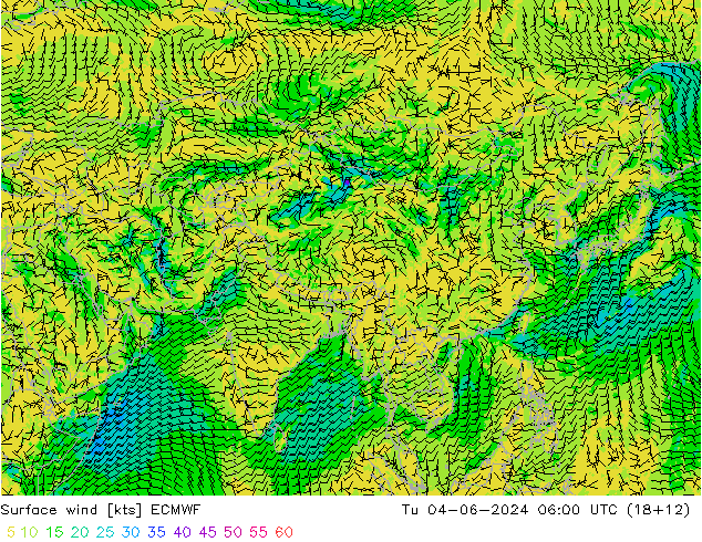 Surface wind ECMWF Tu 04.06.2024 06 UTC