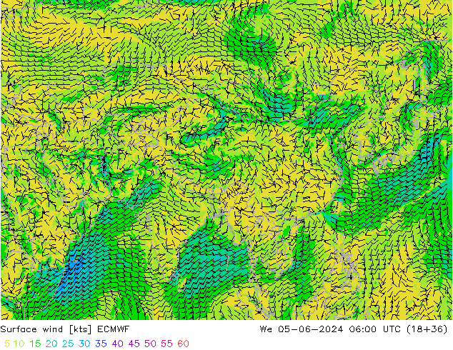 ветер 10 m ECMWF ср 05.06.2024 06 UTC