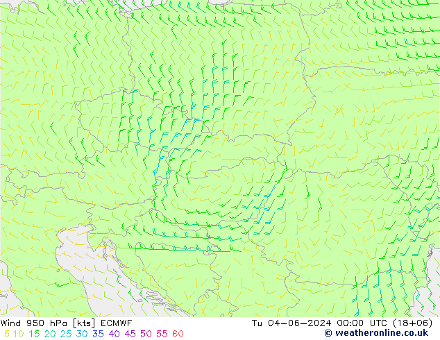 Prec 6h/Wind 10m/950 ECMWF Út 04.06.2024 00 UTC