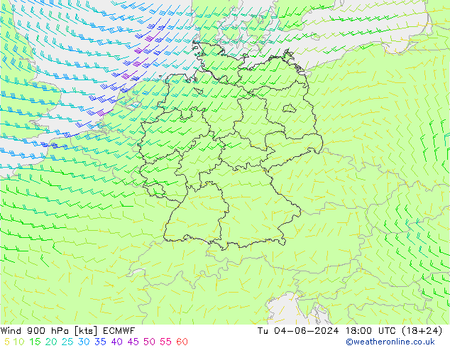 ветер 900 гПа ECMWF вт 04.06.2024 18 UTC