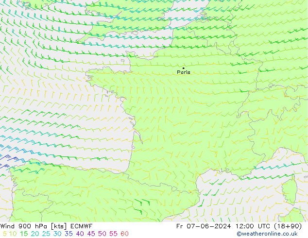 Wind 900 hPa ECMWF Fr 07.06.2024 12 UTC