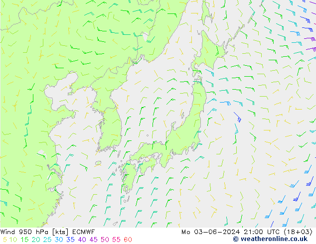 Wind 950 hPa ECMWF ma 03.06.2024 21 UTC