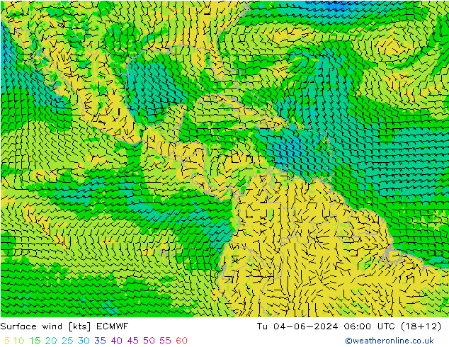 Surface wind ECMWF Tu 04.06.2024 06 UTC