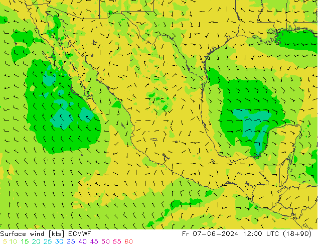 Viento 10 m ECMWF vie 07.06.2024 12 UTC