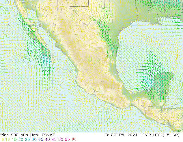 Vent 900 hPa ECMWF ven 07.06.2024 12 UTC