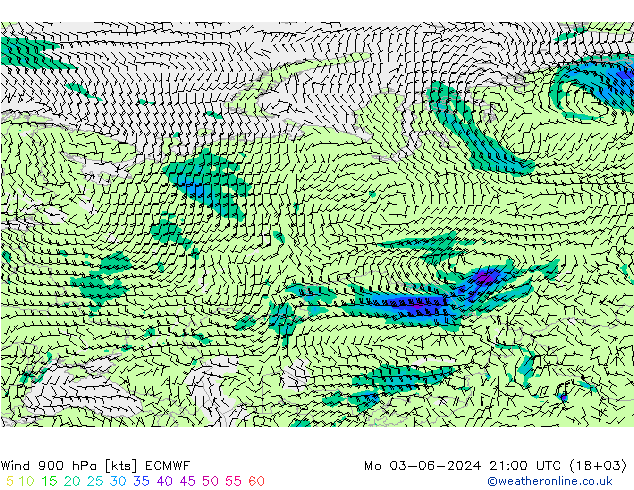  900 hPa ECMWF  03.06.2024 21 UTC