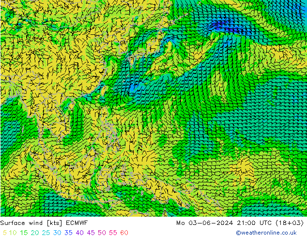 ветер 10 m ECMWF пн 03.06.2024 21 UTC