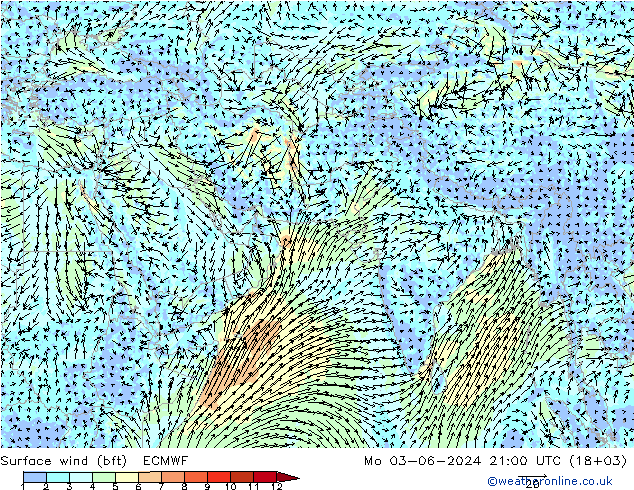 Surface wind (bft) ECMWF Mo 03.06.2024 21 UTC