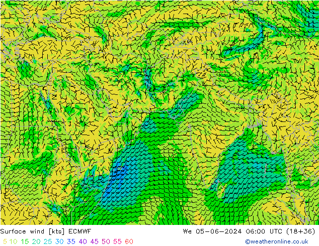  10 m ECMWF  05.06.2024 06 UTC