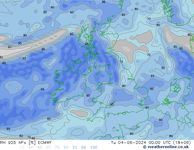 RH 925 гПа ECMWF вт 04.06.2024 00 UTC