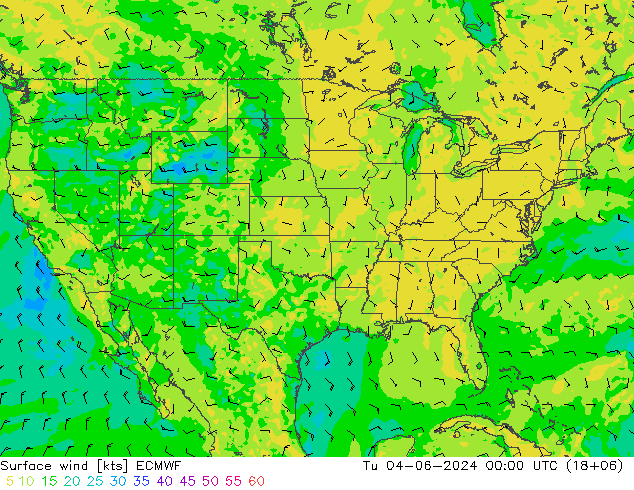 Surface wind ECMWF Tu 04.06.2024 00 UTC