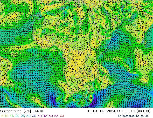  mar 04.06.2024 09 UTC