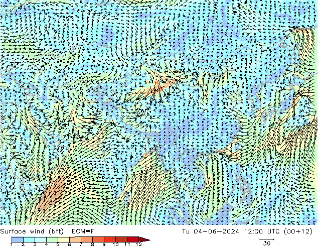 wiatr 10 m (bft) ECMWF wto. 04.06.2024 12 UTC