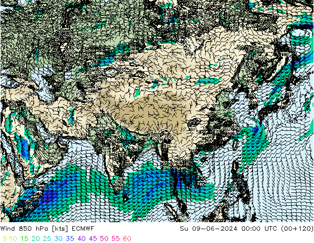  850 hPa ECMWF  09.06.2024 00 UTC