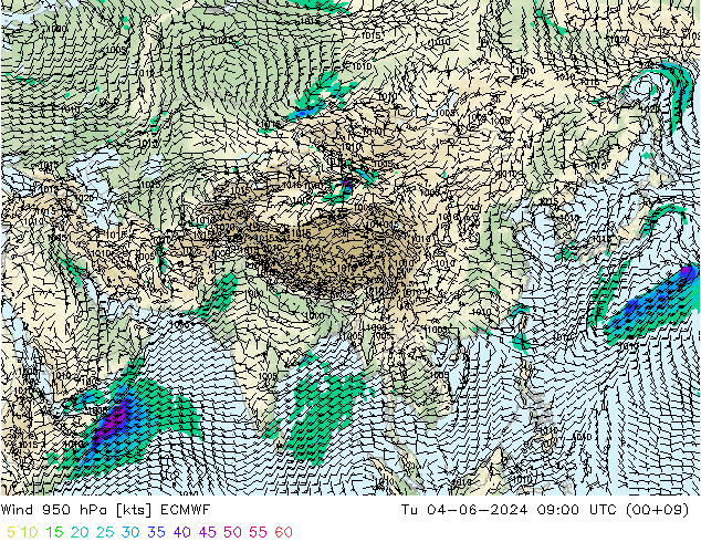 Wind 950 hPa ECMWF Tu 04.06.2024 09 UTC