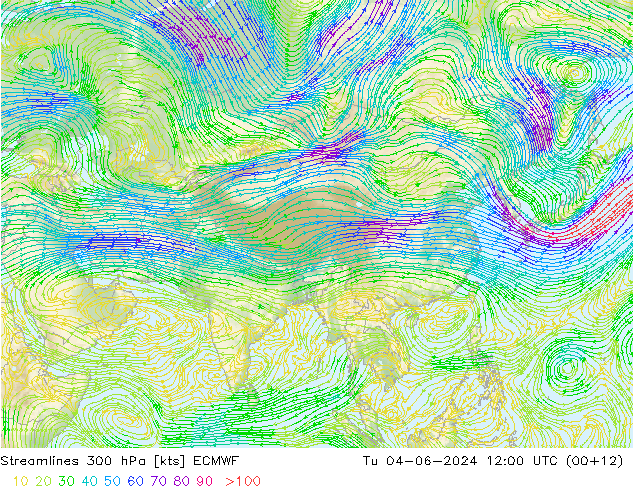 Streamlines 300 hPa ECMWF Tu 04.06.2024 12 UTC