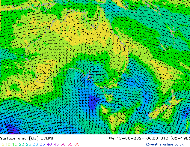 ветер 10 m ECMWF ср 12.06.2024 06 UTC