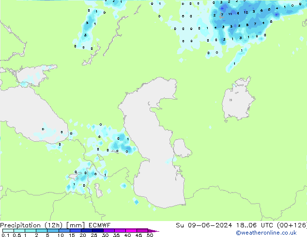 Precipitation (12h) ECMWF Ne 09.06.2024 06 UTC