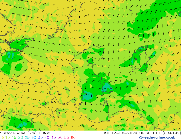 Surface wind ECMWF We 12.06.2024 00 UTC