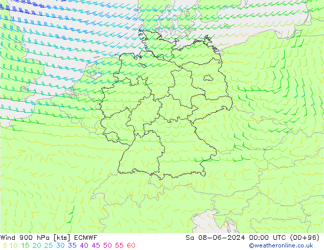 Wind 900 hPa ECMWF Sa 08.06.2024 00 UTC