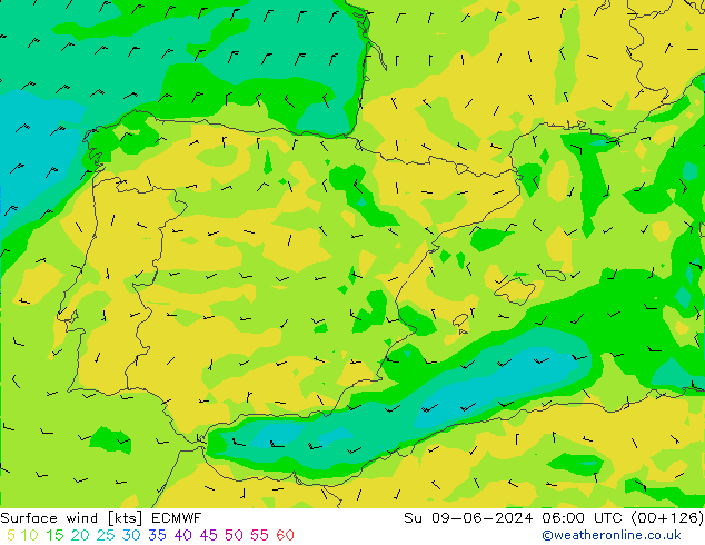 Rüzgar 10 m ECMWF Paz 09.06.2024 06 UTC