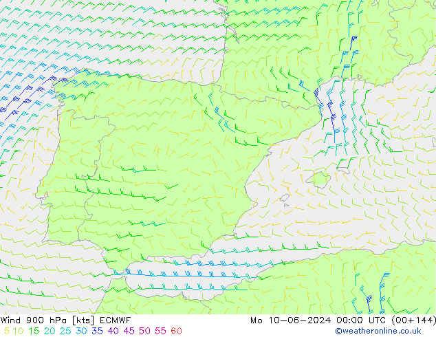 Wind 900 hPa ECMWF Mo 10.06.2024 00 UTC