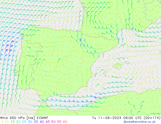 ветер 950 гПа ECMWF вт 11.06.2024 06 UTC