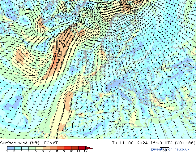 Bodenwind (bft) ECMWF Di 11.06.2024 18 UTC