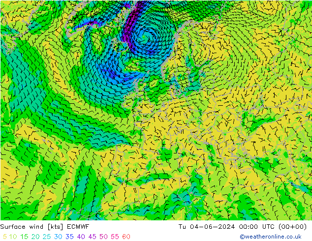 Bodenwind ECMWF Di 04.06.2024 00 UTC