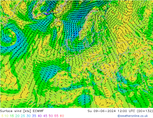 Surface wind ECMWF Ne 09.06.2024 12 UTC