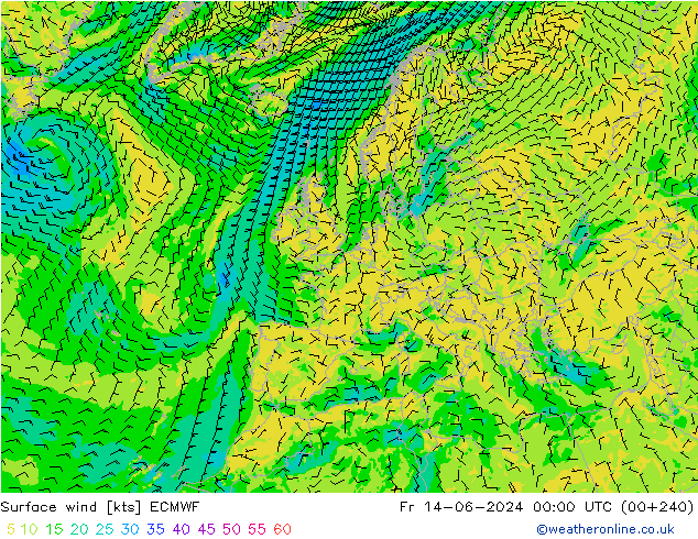 Bodenwind ECMWF Fr 14.06.2024 00 UTC