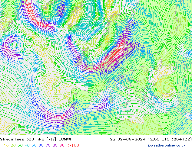 Stroomlijn 300 hPa ECMWF zo 09.06.2024 12 UTC