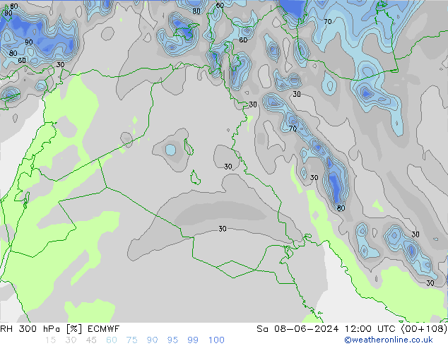 RH 300 hPa ECMWF sab 08.06.2024 12 UTC