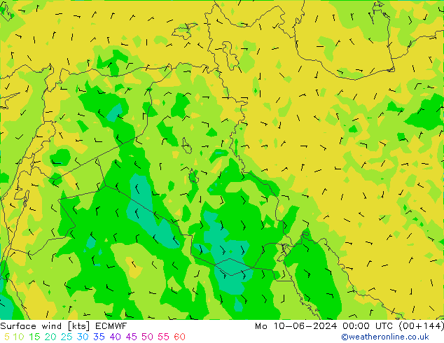 Surface wind ECMWF Mo 10.06.2024 00 UTC