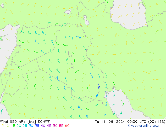 Wind 950 hPa ECMWF di 11.06.2024 00 UTC