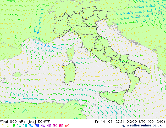 wiatr 900 hPa ECMWF pt. 14.06.2024 00 UTC