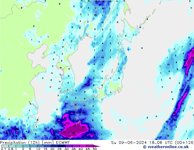 Precipitazione (12h) ECMWF dom 09.06.2024 06 UTC