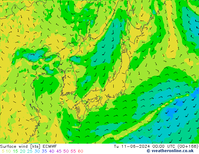 Surface wind ECMWF Tu 11.06.2024 00 UTC