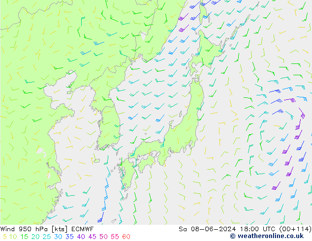 wiatr 950 hPa ECMWF so. 08.06.2024 18 UTC