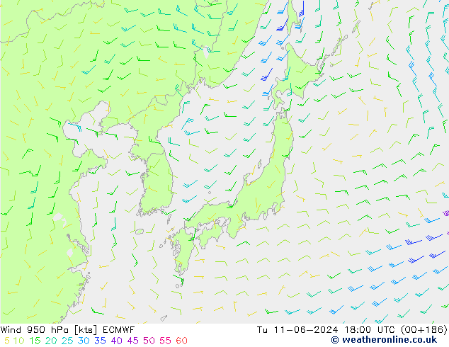 Vento 950 hPa ECMWF Ter 11.06.2024 18 UTC