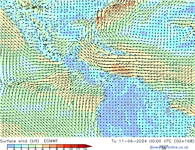 Vent 10 m (bft) ECMWF mar 11.06.2024 00 UTC