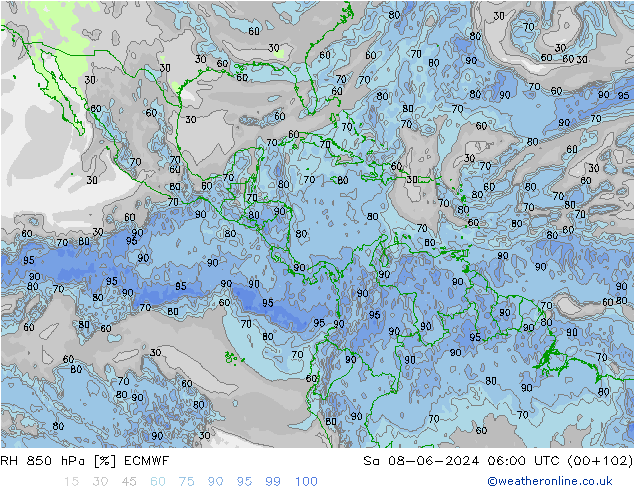 RH 850 гПа ECMWF сб 08.06.2024 06 UTC