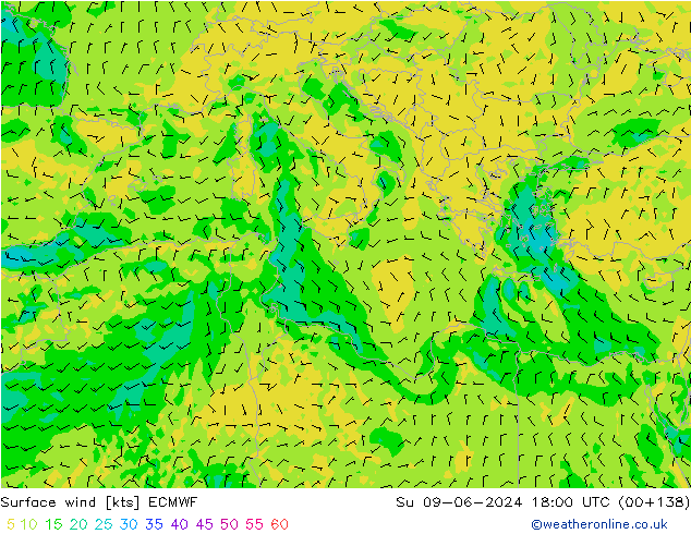 Surface wind ECMWF Su 09.06.2024 18 UTC